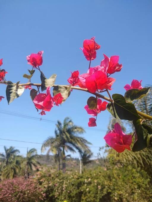 Chale Aconchegante Em Estancia Climatica Santo Antônio do Leite Dış mekan fotoğraf