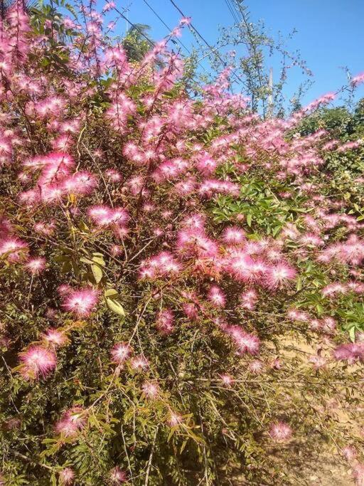 Chale Aconchegante Em Estancia Climatica Santo Antônio do Leite Dış mekan fotoğraf