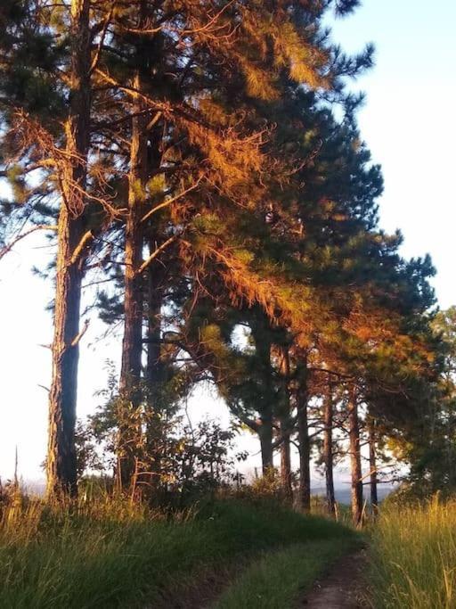 Chale Aconchegante Em Estancia Climatica Santo Antônio do Leite Dış mekan fotoğraf